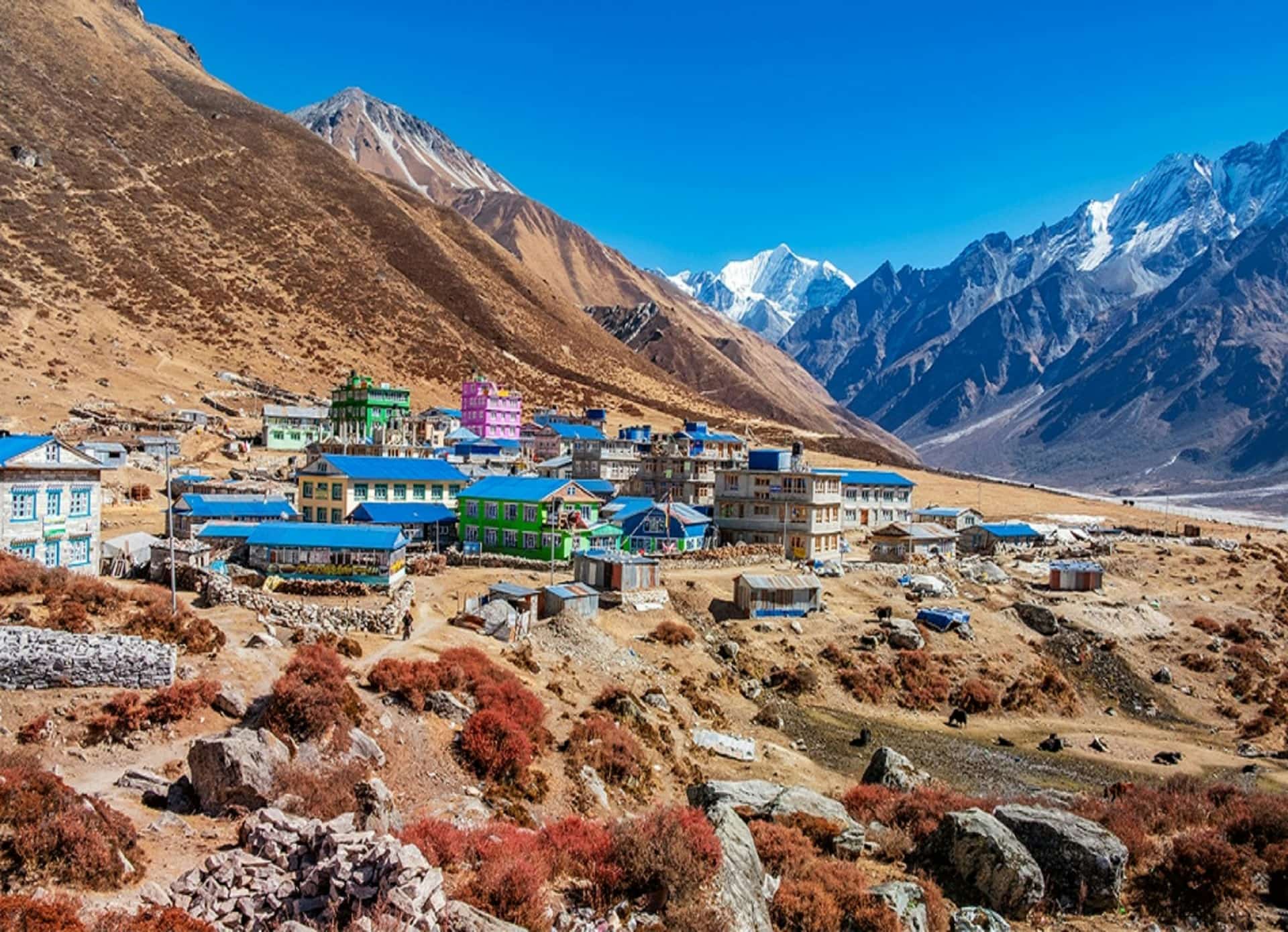 Langtang Region Trek