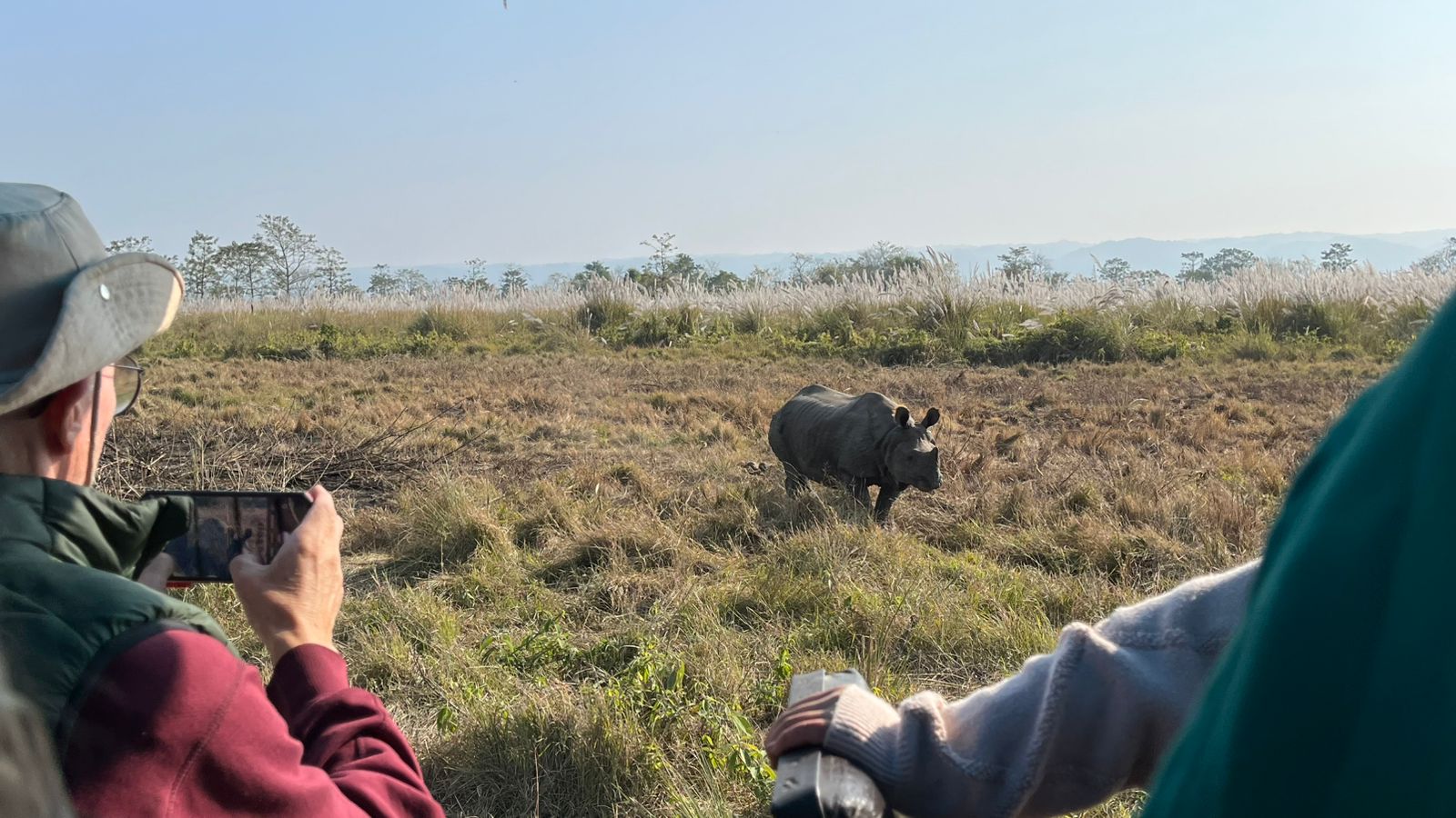 Jungle Safari at Chitwan National Park