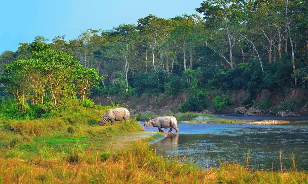 3 Nights 4 Days Chitwan National Park Tour